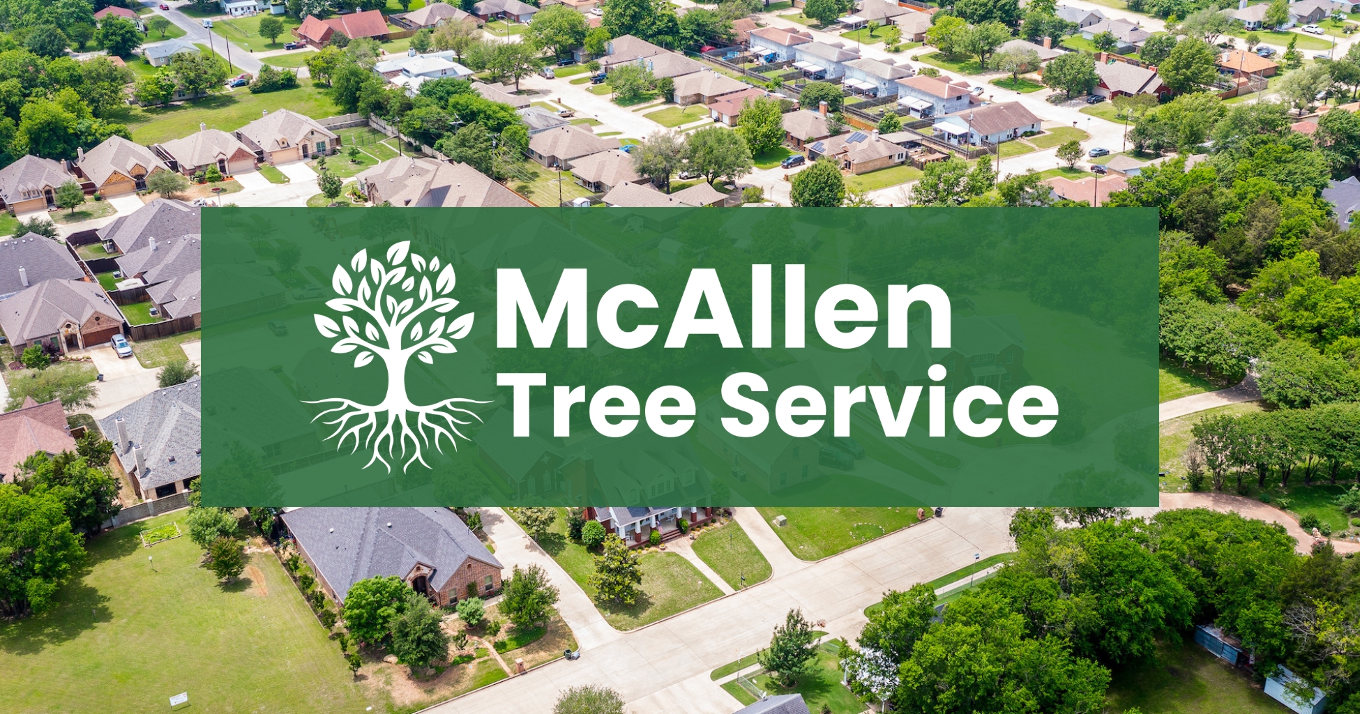 McAllen Tree Service public photo