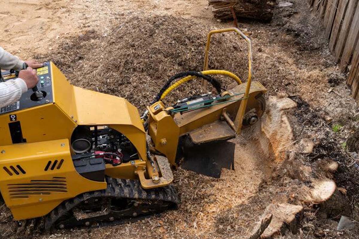 stump grinding mcallen