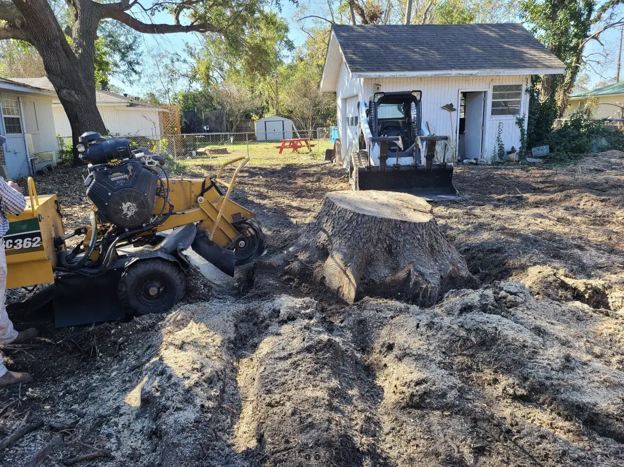tree stump removal mcallen